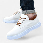 Canvas Sneakers - Montford & Co